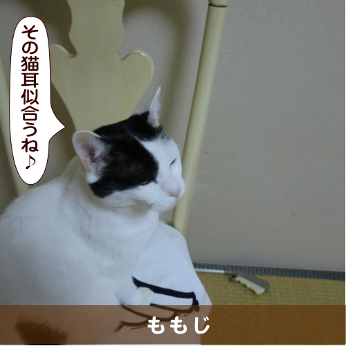 20160621_touko.jpg
