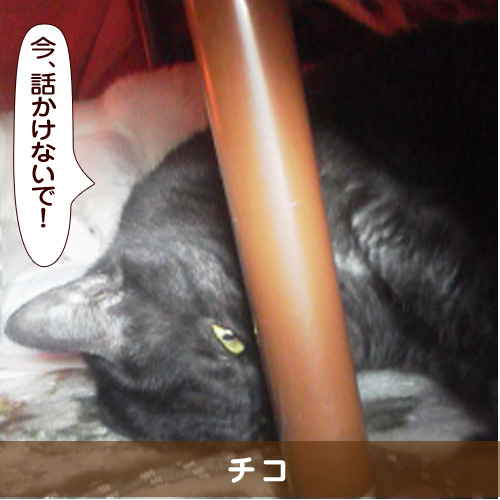 20160623_touko.jpg