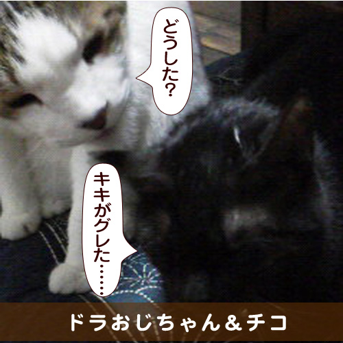 20160624_touko.jpg