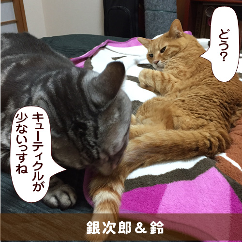20160625_touko.jpg