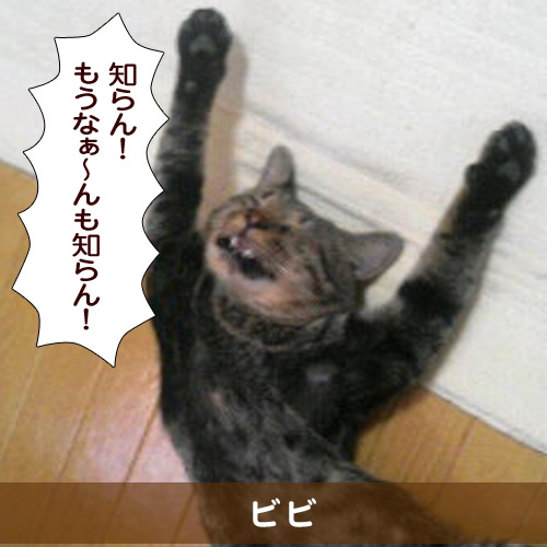 20160626_touko.jpg