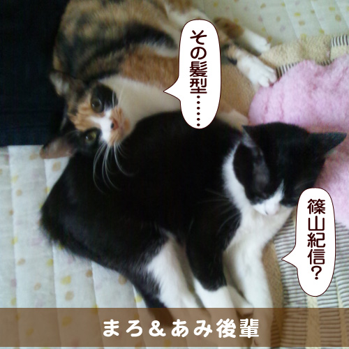 20160627_touko.jpg