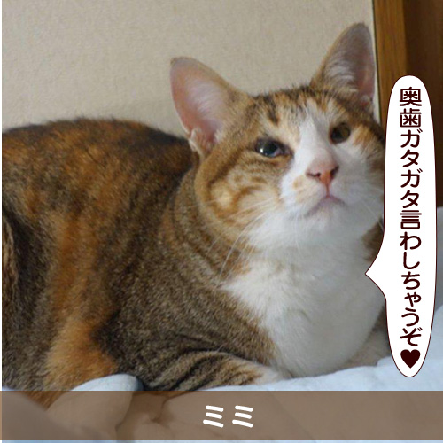 20160628_touko.jpg