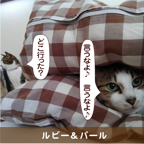 20160630_touko.jpg