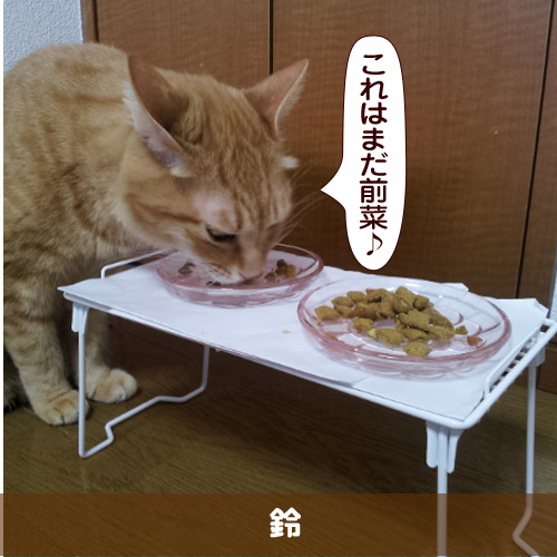 20160701_touko.jpg
