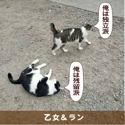 20160702_touko.jpg