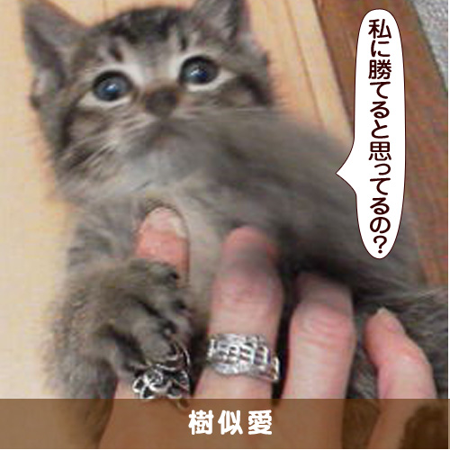 20160703_touko.jpg