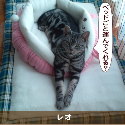 20160704_touko.jpg
