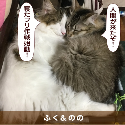20160708_touko.jpg