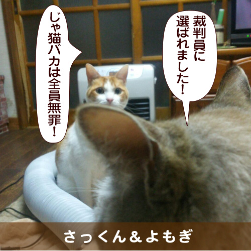 20160709_touko.jpg