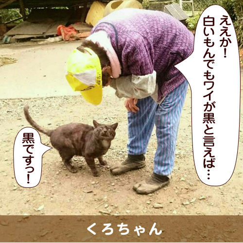 20160710_touko.jpg