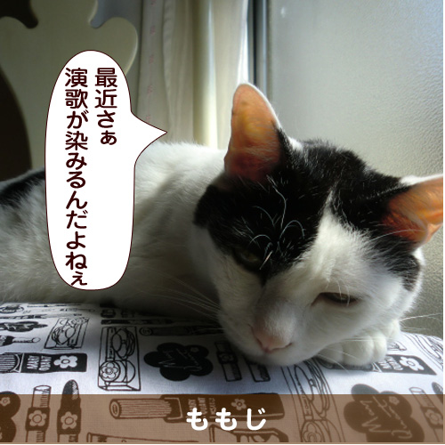 20160713_touko.jpg