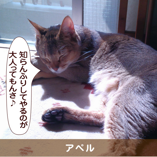 20160714_touko.jpg