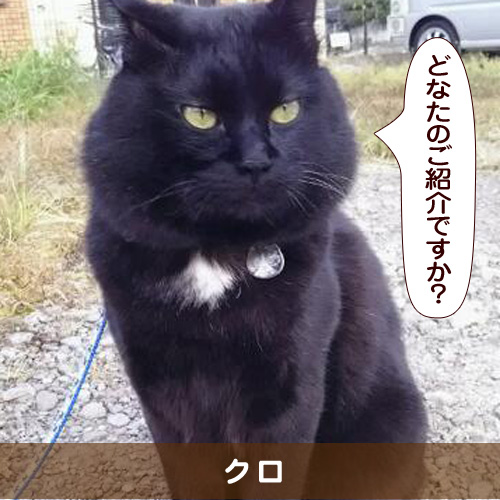 20160715_touko.jpg