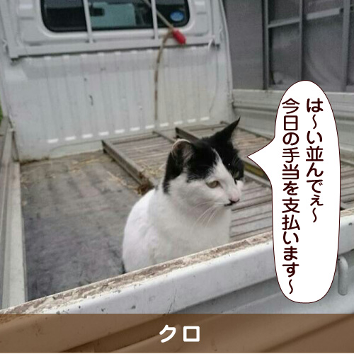 20160716_touko.jpg