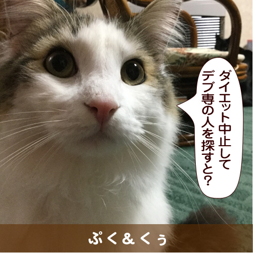 20160717_touko.jpg