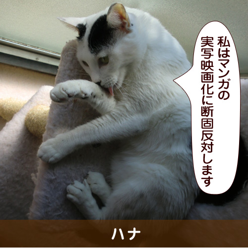 20160718_touko.jpg
