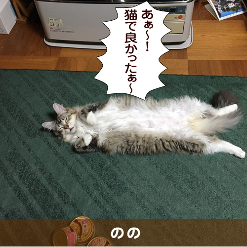 20160719_touko.jpg