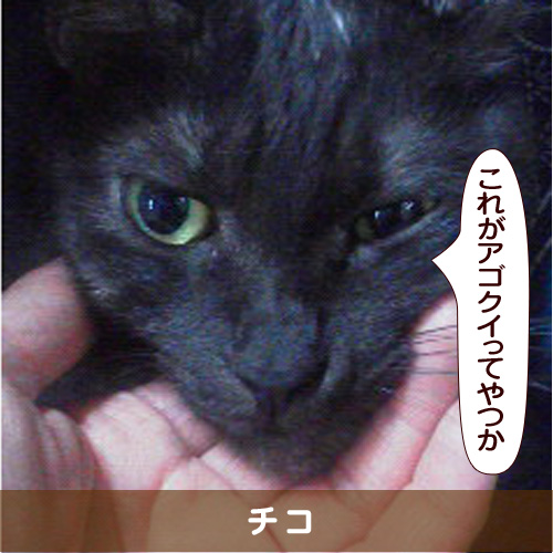 20160721_touko.jpg