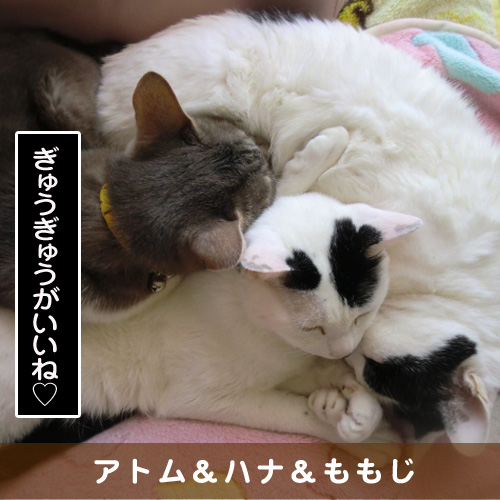 20160723_touko.jpg