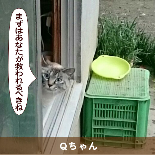 20160724_touko.jpg