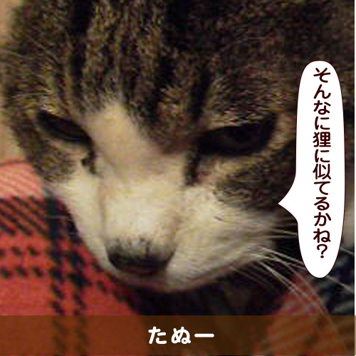 20160725_touko.jpg