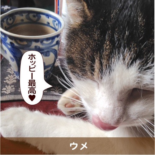 20160727_touko.jpg