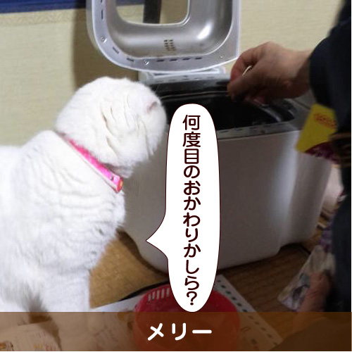 20160730_touko.jpg