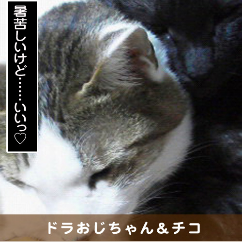 20160731_touko.jpg
