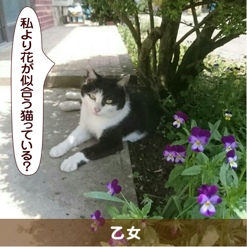 20160803_touko.jpg
