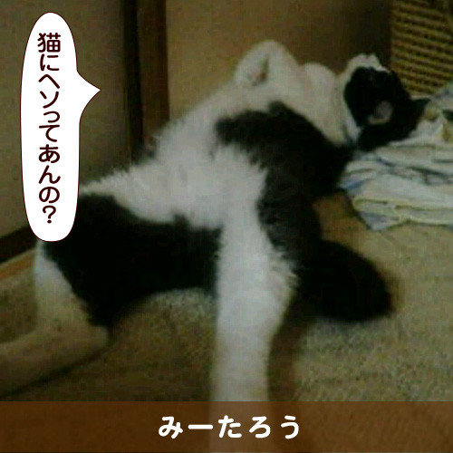 20160804_touko.jpg