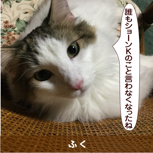 20160805_touko.jpg