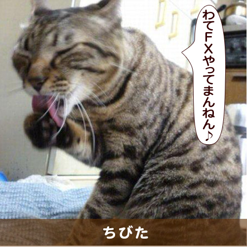 20160806_touko.jpg