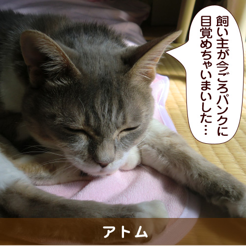 20160807_touko.jpg