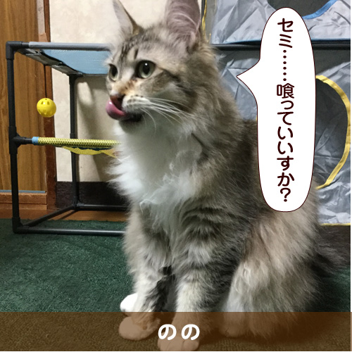 20160808_touko.jpg