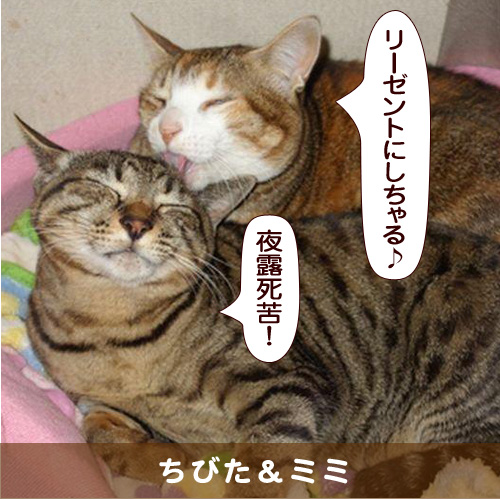 20160809_touko.jpg