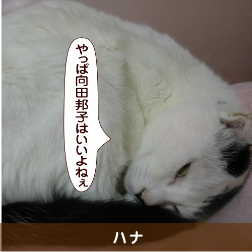 20160810_touko.jpg