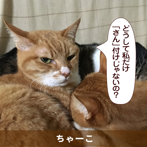20160815_touko.jpg