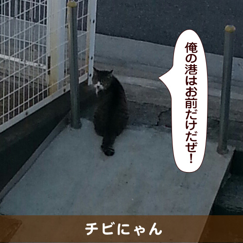 20160816_touko.jpg