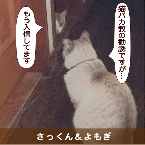 20160821_touko.jpg