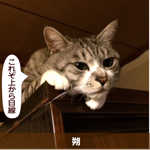 20160828_touko.jpg