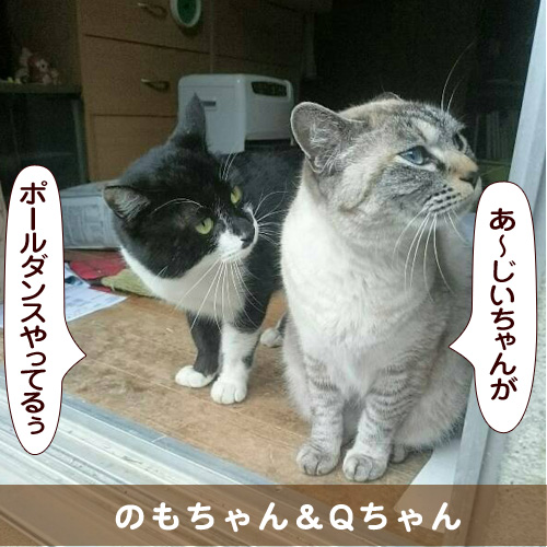 20160831_touko.jpg