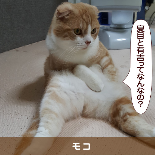 20160901_touko.jpg
