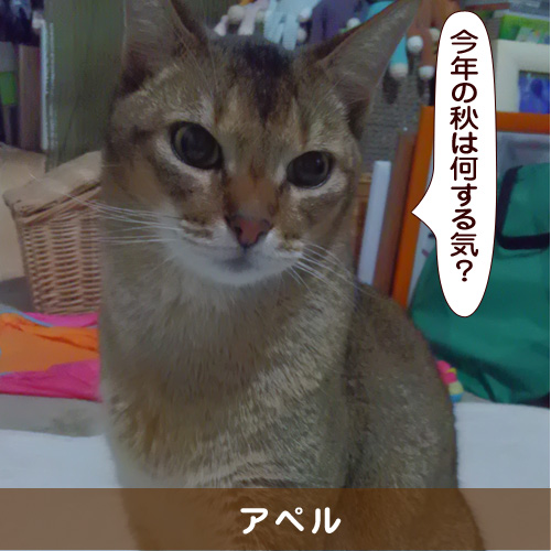 20160902_touko.jpg
