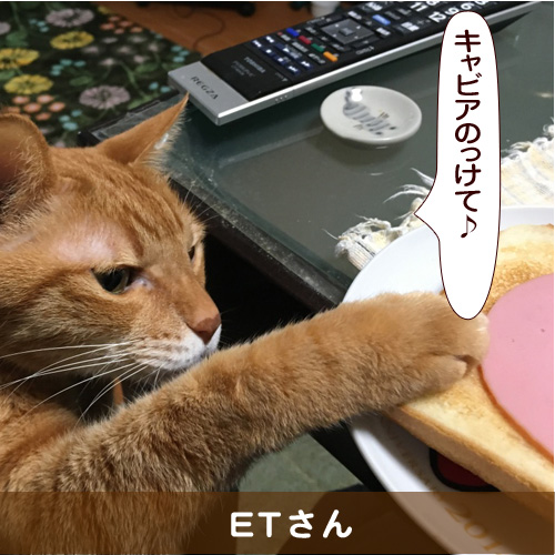20160903_touko.jpg