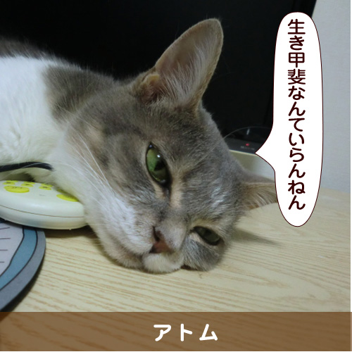 20160905_touko.jpg