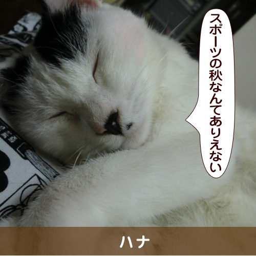 20160906_touko.jpg