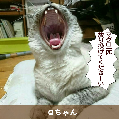 20160907_touko.jpg
