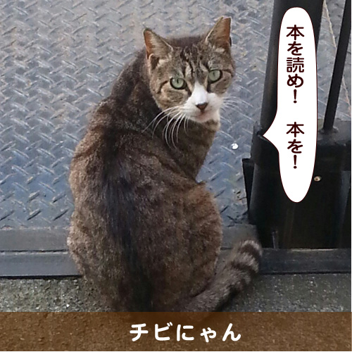 20160908_touko.jpg