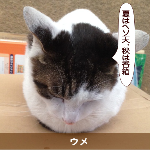 20160909_touko.jpg